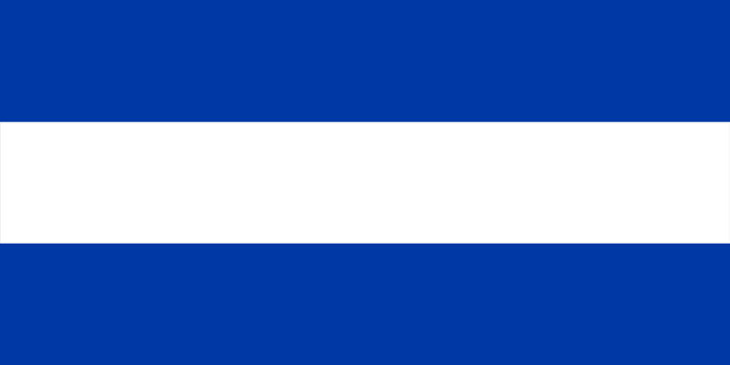 Файл:Flag ICM.webp
