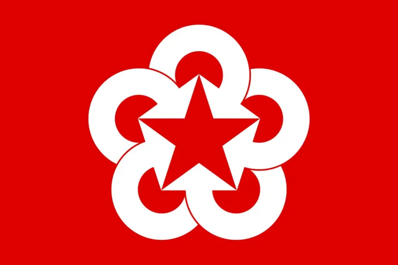 Файл:Flag OSOVP.webp