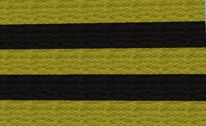 City Flag PGT Dobrye Pcheli.webp